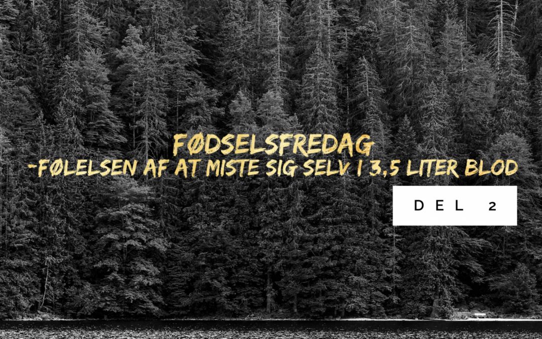 Fødselsfredag – om at miste sig selv i 3,5 liter blod, del 2